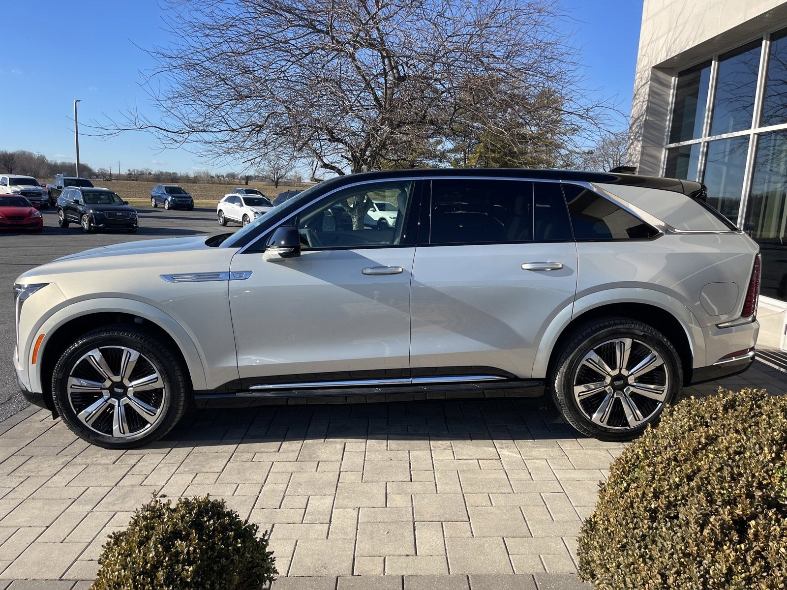 2025 Cadillac ESCALADE IQ Luxury 1