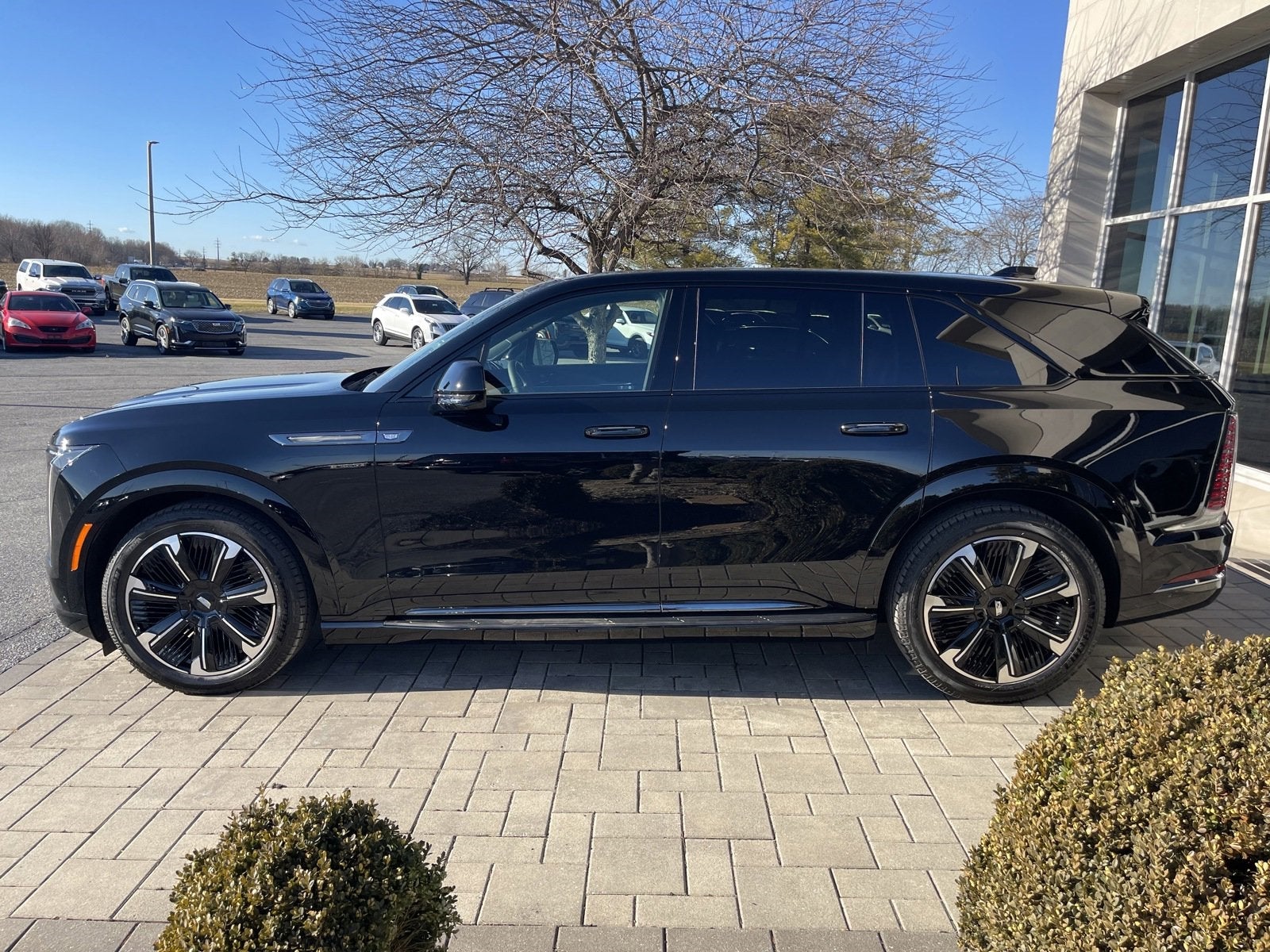 2025 Cadillac ESCALADE IQ Sport 2