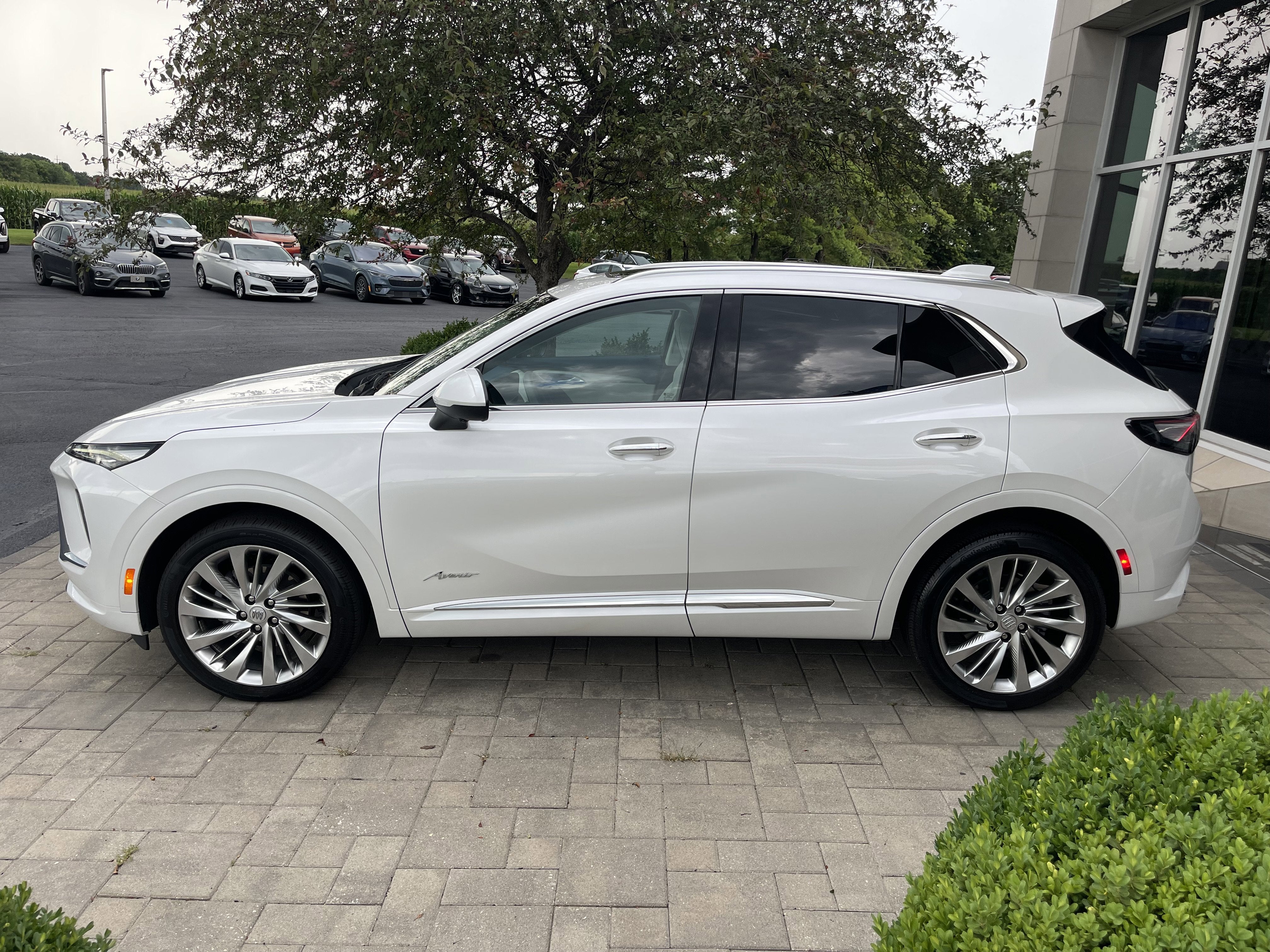 2024 Buick Envision Avenir