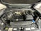 2019 Volkswagen Atlas 3.6L V6 SEL R-Line